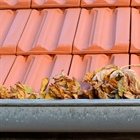 Hauswartungen